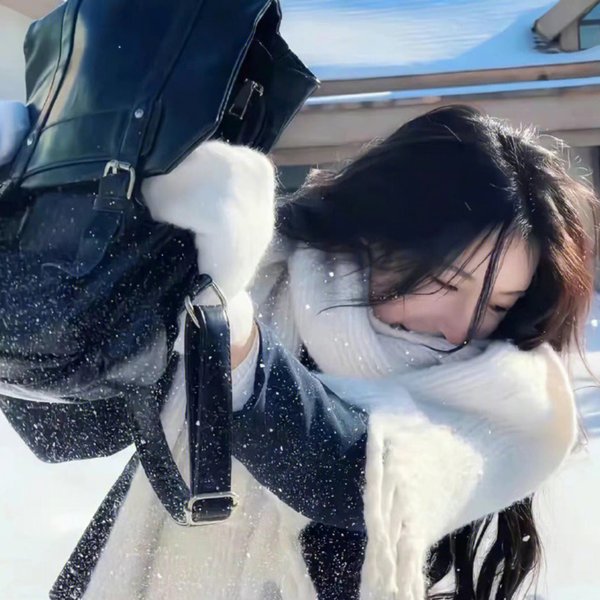 手握系统王妃在线发癫